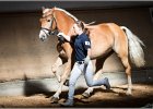 Pferd International 004
